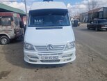Mercedes Sprinter 313-1