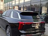 Hongqi E-HS9-15