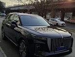 Hongqi E-HS9-16