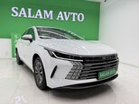 BYD Destroyer 05-1