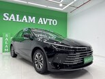 BYD Destroyer 05-1