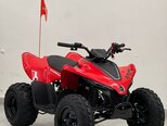CFMOTO CFORCE 110-2