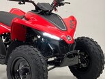 CFMOTO CFORCE 110-4