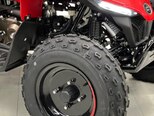 CFMOTO CFORCE 110-5
