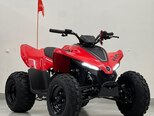 CFMOTO CFORCE 110-3
