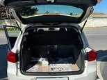 Volkswagen Tiguan-10