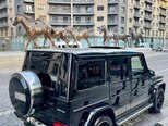 Mercedes G 55 AMG-11