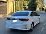 Toyota Corolla-6