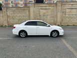Toyota Corolla-7