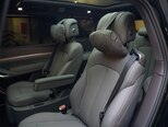 Denza N9-6