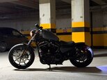 Harley-Davidson XL883N Sportster Iron 883-8