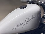 Harley-Davidson XL883N Sportster Iron 883-10