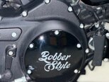 Harley-Davidson XL883N Sportster Iron 883-11