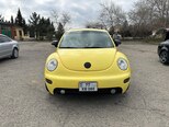 Volkswagen Beetle-15
