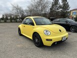 Volkswagen Beetle-18