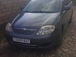 Toyota Corolla-1