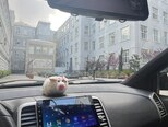 Nissan Wingroad-13