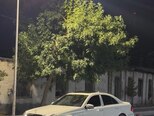 Mercedes E 350-21