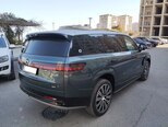 Denza N9-5