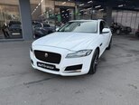 Jaguar XF-3