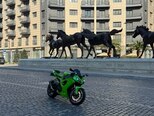 Kawasaki ZX-10RR -11