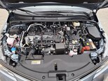 Toyota Corolla-15