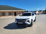 DongFeng Aeolus Shine-1