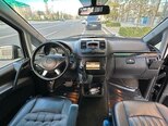 Mercedes Viano-2