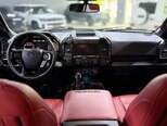 Ford F-150-14