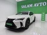 Lexus UX 250h-3