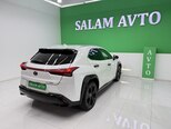 Lexus UX 250h-6