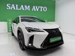 Lexus UX 250h-1