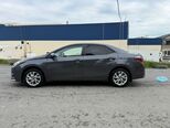 Toyota Corolla-6