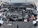 Toyota Corolla-11