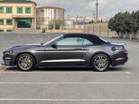 Ford Mustang-14