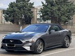Ford Mustang-15