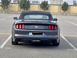 Ford Mustang-12