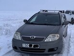 Toyota Corolla-8
