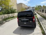 Mercedes Viano-2