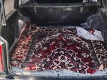 LADA (VAZ) 2104-9