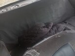 LADA (VAZ) 21011-7