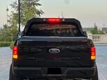 Ford F-150-12