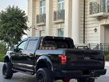 Ford F-150-8