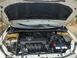 Toyota Corolla-7