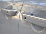 Kia Carnival-20