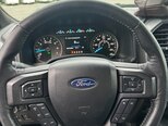Ford F-150-8