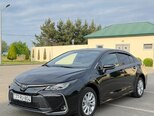 Toyota Corolla-7