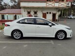 Toyota Corolla-15