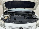 Toyota Corolla-12