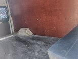 Ford Transit-6